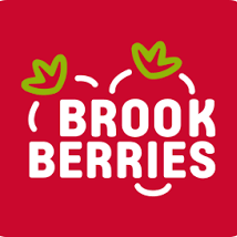 Brookberries