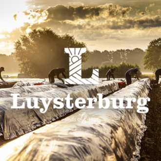 Luysterburg Asperges