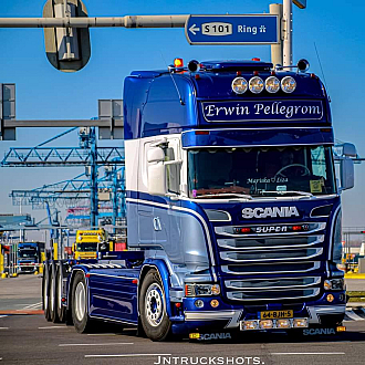 Pellegrom fruit en transport