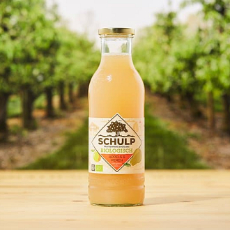 Schulp