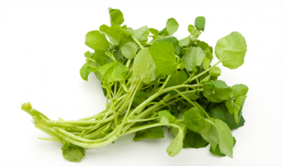 Waterkers ecologisch 100 gram *Donderdag bestellen = Maandag leveren