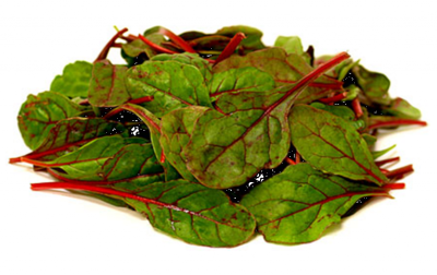 Bulls blood bakje 125 gram