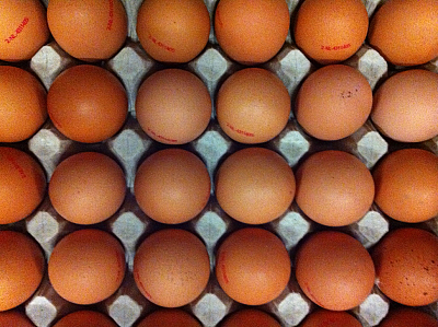 Eieren bruin Scharrel doos 10 stuks