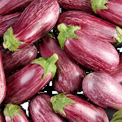 Graffiti Aubergine per kist a 10 stuks