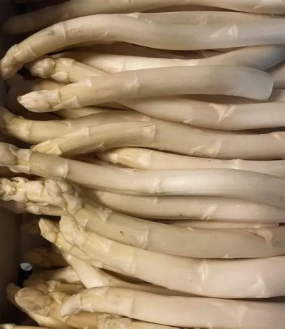 Asperge klasse 1/2 5 kg (KROMME asperge)