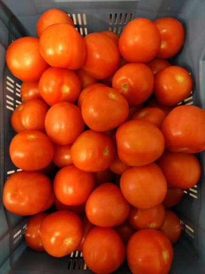Tomaten los 6 kg