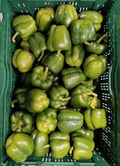 Ugly food Paprika GROEN 5 kg