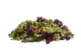 MESCLUN LUXE Oregional (red chart, spin,rucola,enz) 500 gram