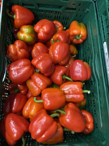PAPRIKA ROOD UGLY 10 kg (AANBIEDING)