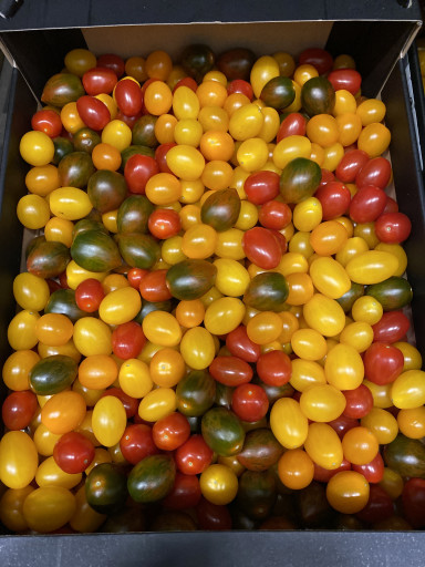 Cherry tomaten colour mix kg