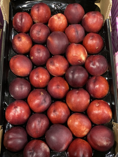 Nectarines per kg
