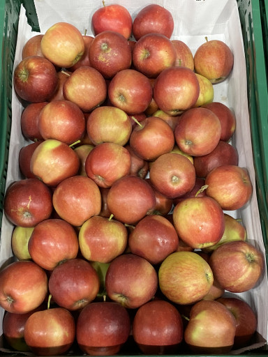 Appels Jonagold (middel 70-80) 5 kg