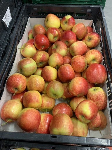 Appels Delbar 1 kg (groot 85-90)  NIEUWE OOGST