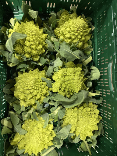 Romanesco ACTIE PRIJS