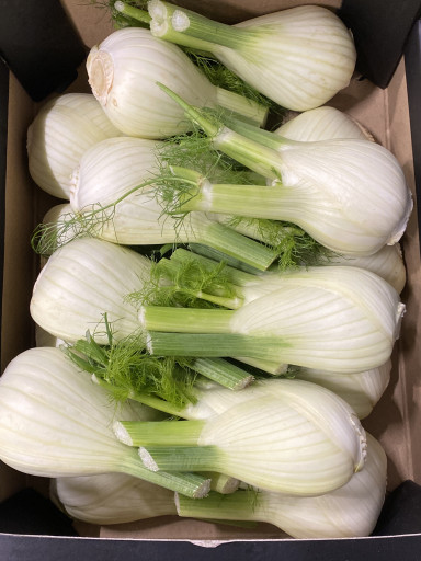 Venkel kg