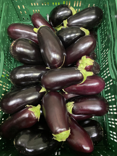 Ugly food AUBERGINE 10 kg