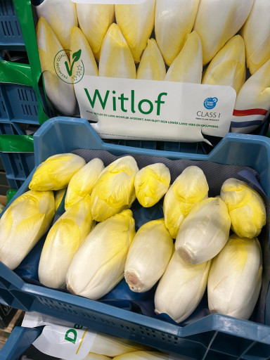 Witlof ONGESORTEERD 5 kg
