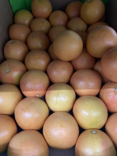 Grapefruit per stuk