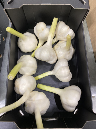 Hollandse Verse bieslook 1 kg