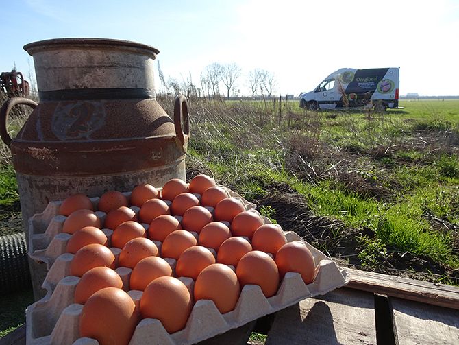 Ruilhandel voorjaar Incident, evenement Groothandel eieren | Kakelvers uit de streek | Oregional
